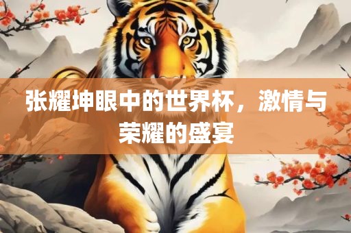 张耀坤眼中的世界杯，激情与荣耀的盛宴