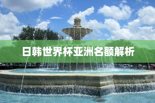 日韩世界杯亚洲名额解析