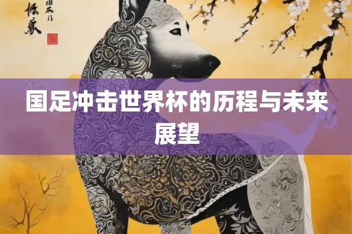国足冲击世界杯的历程与未来展望