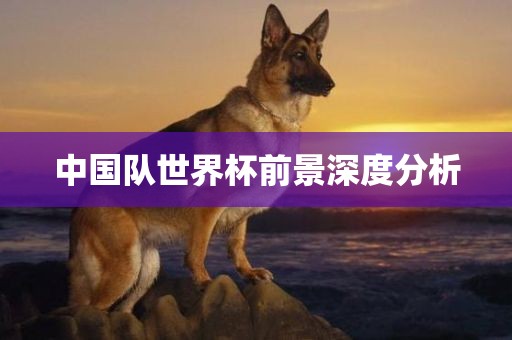 中国队世界杯前景深度分析