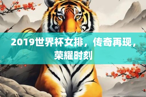 2019世界杯女排，传奇再现，荣耀时刻