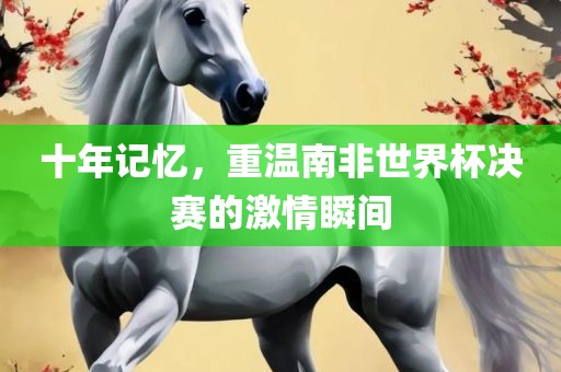 十年记忆，重温南非世界杯决赛的激情瞬间