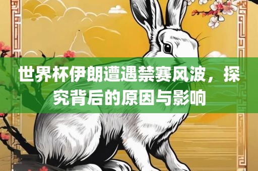 世界杯伊朗遭遇禁赛风波，探究背后的原因与影响