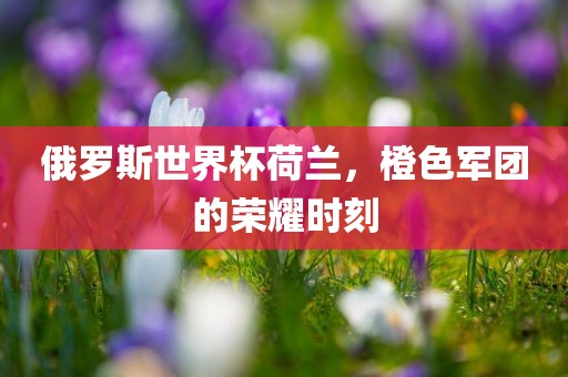 俄罗斯世界杯荷兰，橙色军团的荣耀时刻眉山市正发家政服务有限公司