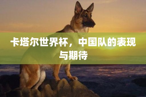 卡塔尔世界杯，中国队的表现与期待