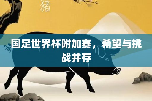 国足世界杯附加赛，希望与挑战并存