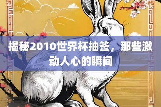 揭秘2010世界杯抽签，那些激动人心的瞬间