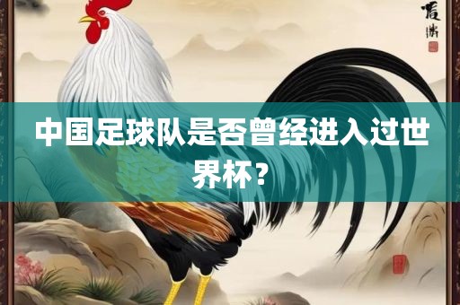 中国足球队是否曾经进入过世界杯？