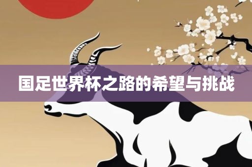 国足世界杯之路的希望与挑战