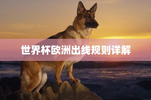 世界杯欧洲出线规则详解