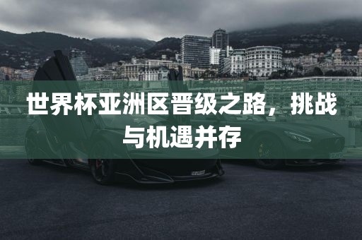 世界杯亚洲区晋级之路，挑战与机遇并存