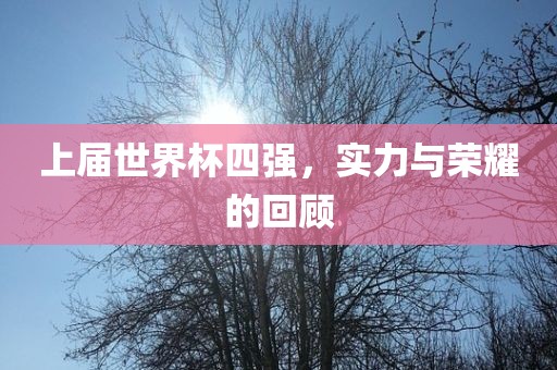 上届世界杯四强，实力与荣耀的回顾