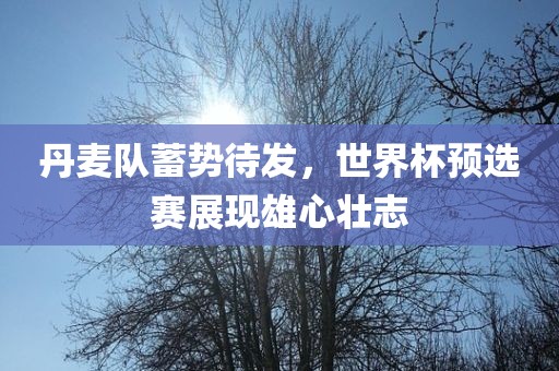 丹麦队蓄势待发，世界杯预选赛展现雄心壮志