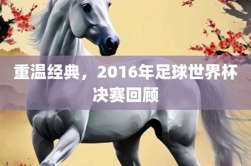 重温经典，2016年足球世界杯决赛回顾
