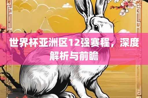 世界杯亚洲区12强赛程，深度解析与前瞻