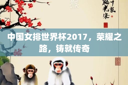 中国女排世界杯2017，荣耀之路，铸就传奇