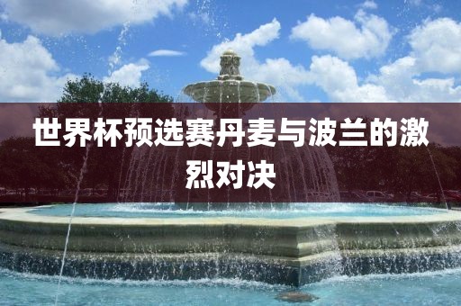 世界杯预选赛丹麦与波兰的激烈对决眉山市正发家政服务有限公司