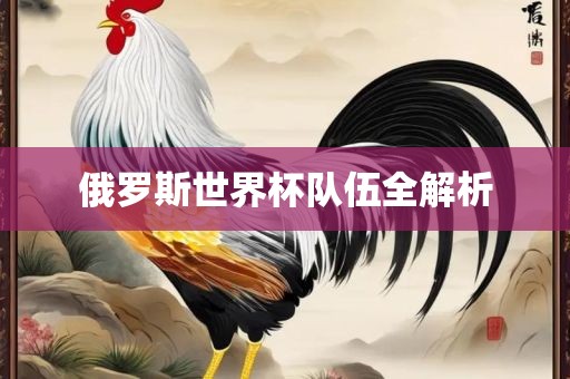 俄罗斯世界杯队伍全解析