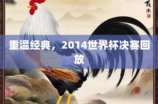 重温经典，2014世界杯决赛回放