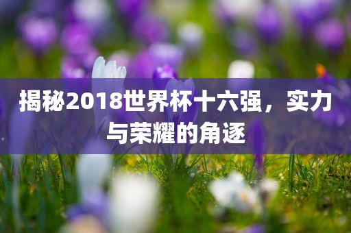 揭秘2018世界杯十六强，实力与荣耀的角逐