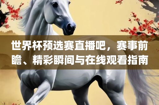 世界杯预选赛直播吧，赛事前瞻、精彩瞬间与在线观看指南眉山市正发家政服务有限公司