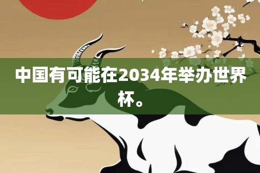 中国有可能在2034年举办世界杯。