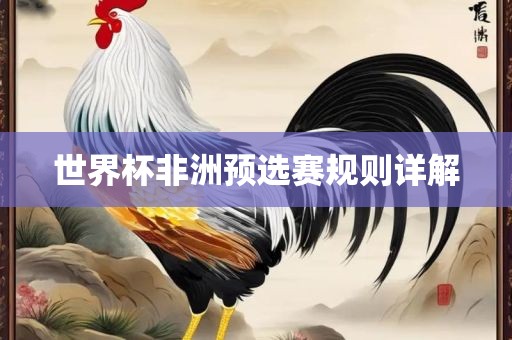 世界杯非洲预选赛规则详解