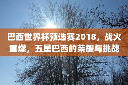 巴西世界杯预选赛2018，战火重燃，五星巴西的荣耀与挑战