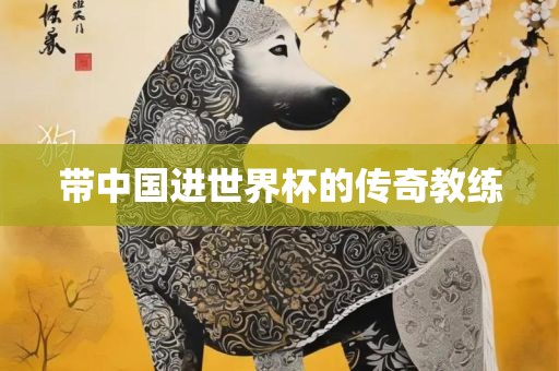 带中国进世界杯的传奇教练