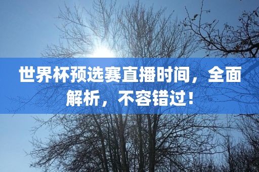 世界杯预选赛直播时间，全面解析，不容错过！