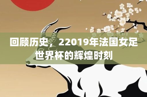 回顾历史，22019年法国女足世界杯的辉煌时刻