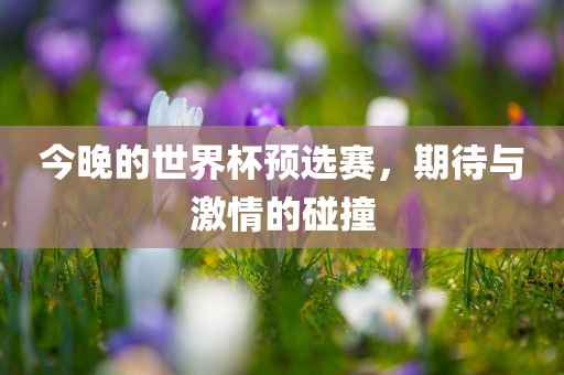 今晚的世界杯预选赛，期待与激情的碰撞眉山市正发家政服务有限公司