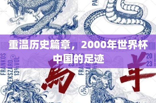 重温历史篇章，2000年世界杯中国的足迹眉山市正发家政服务有限公司