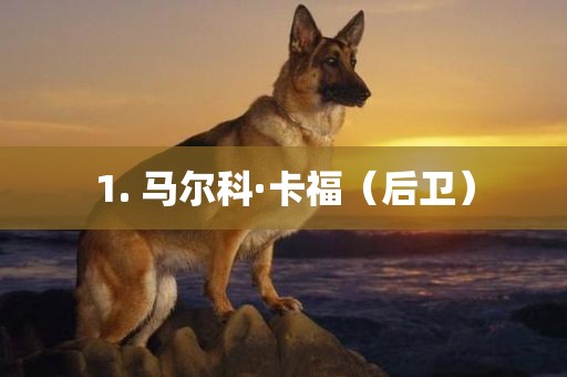 1. 马尔科·卡福（后卫）