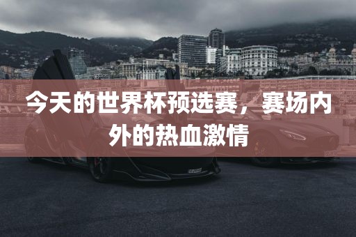 今天的世界杯预选赛，赛场内外的热血激眉山市正发家政服务有限公司情