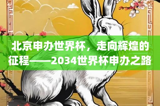 北京申办世界杯，走向辉煌的征程——2034世界杯申办之路眉山市正发家政服务有限公司