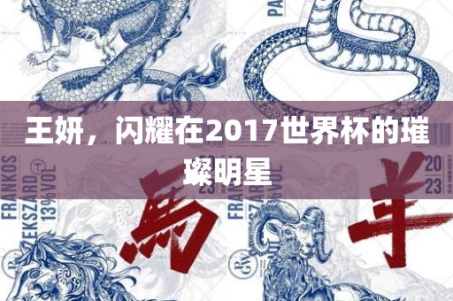 王妍，闪耀在2017世界杯的璀璨明星眉山市正发家政服务有限公司