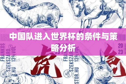 中国队进入世界杯的条件与策略分析