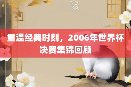 重温经典时刻，2006年世界杯决赛集锦回顾