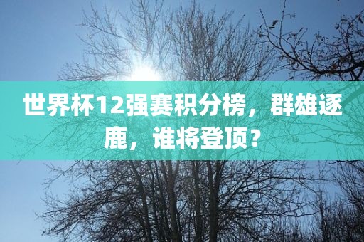 世界杯12强赛积分榜，群雄逐鹿，谁将登顶？