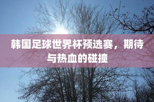韩国足球世界杯预选赛，期待与热血的碰撞眉山市正发家政服务有限公司