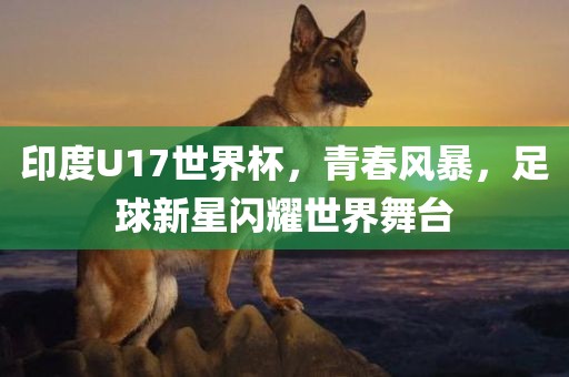 印度U17世界杯眉山市正发家政服务有限公司，青春风暴，足球新星闪耀世界舞台