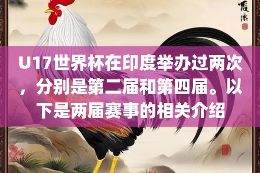 U17世界杯在印度举办过两次，分别是第二届和第四届。以下是两届赛事的相关介绍