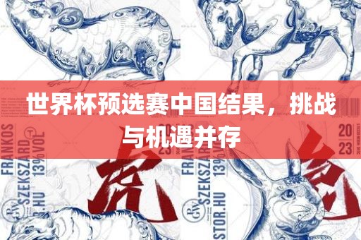 世界杯预选赛中国结果，挑战与机遇并存眉山市正发家政服务有限公司