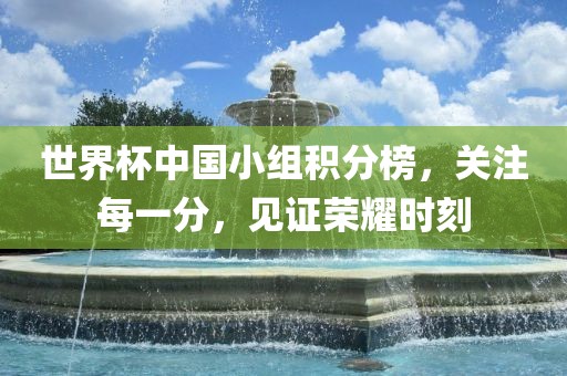 世界杯中国小组积分榜，关注每一分，见证荣耀时刻