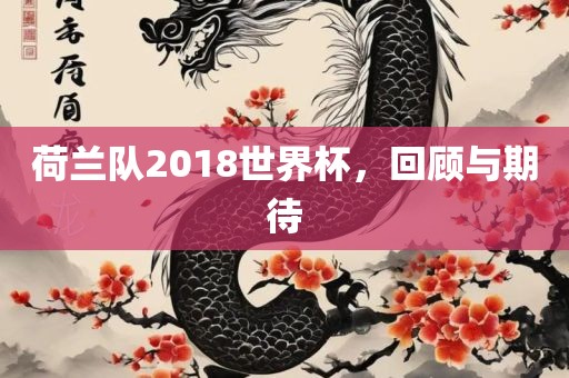 荷兰队2018世界杯，回顾与期待