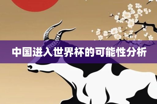 中国进入世界杯的可能性分析