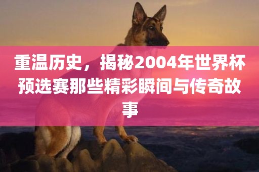 重温历史，揭秘2004年世界杯预选赛那些精彩瞬间与眉山市正发家政服务有限公司传奇故事