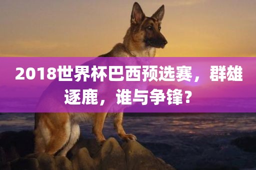 2018世界杯巴西预选赛，群雄逐鹿，谁与争锋？