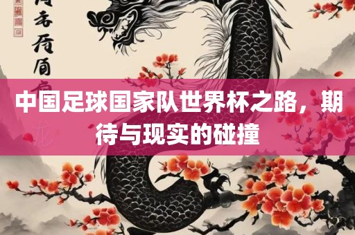 中国足球国家队世界杯之路，期待与现实的碰撞